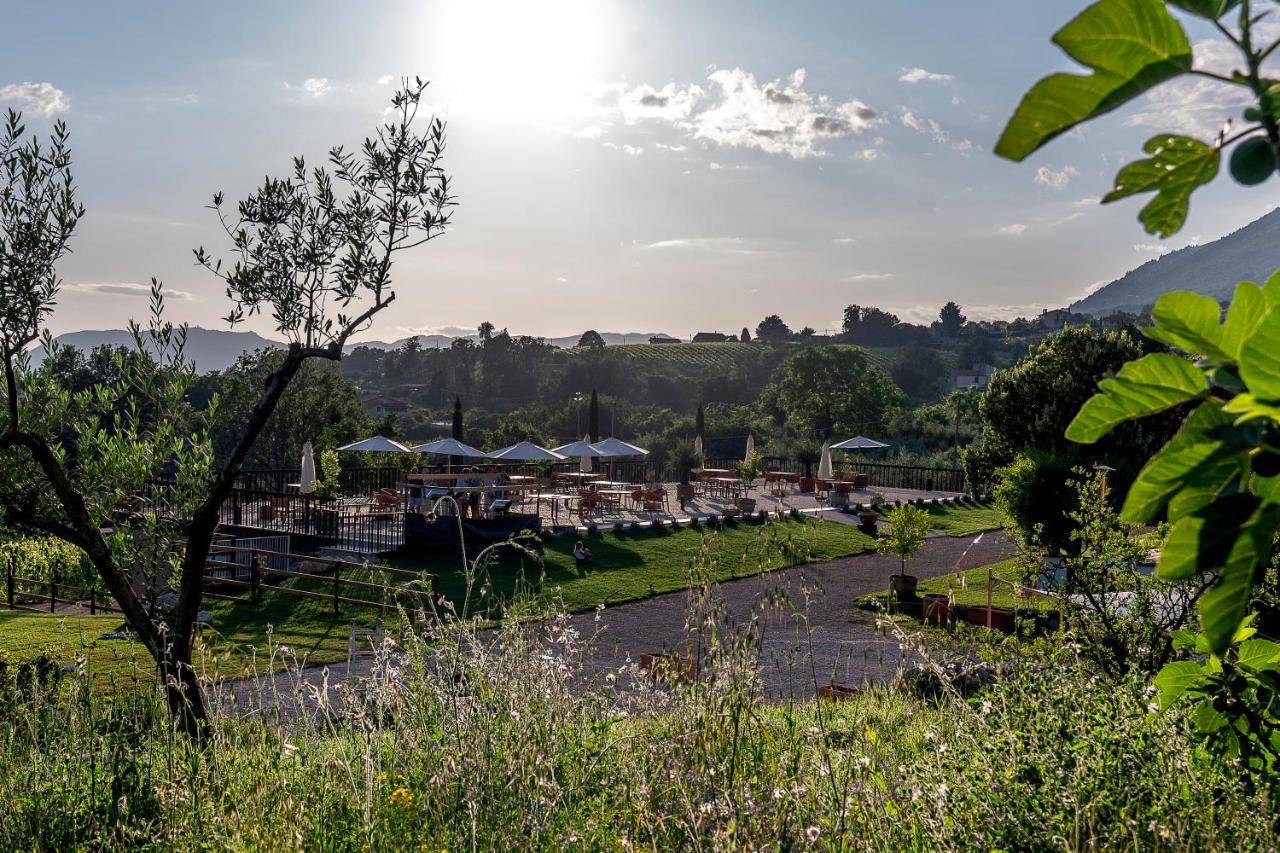 Al Piglio Maison De Charme Wine & Wellness Resort Екстер'єр фото